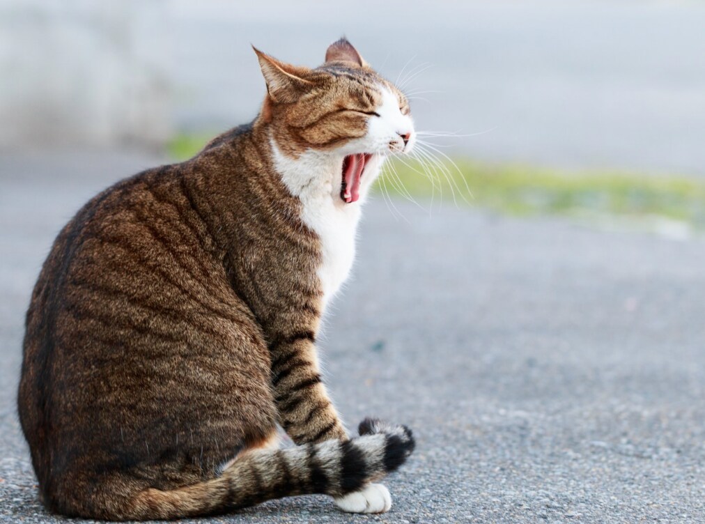 タメ口OK！　飾れない人間が、飾らない話を聞きます 〜キラキラした人が苦手なあなたへ〜 イメージ1