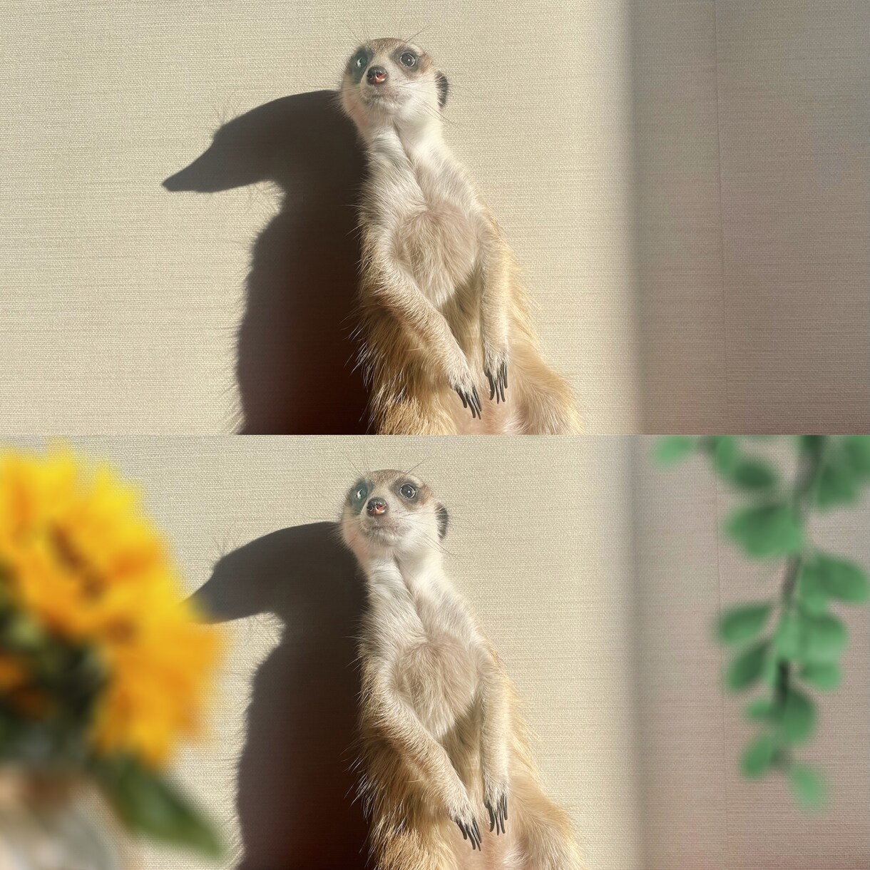 緑や花、亡くなってしまったご家族を合成致します 手前にお花追加や、事情により写れなかったご家族とご一緒に イメージ3
