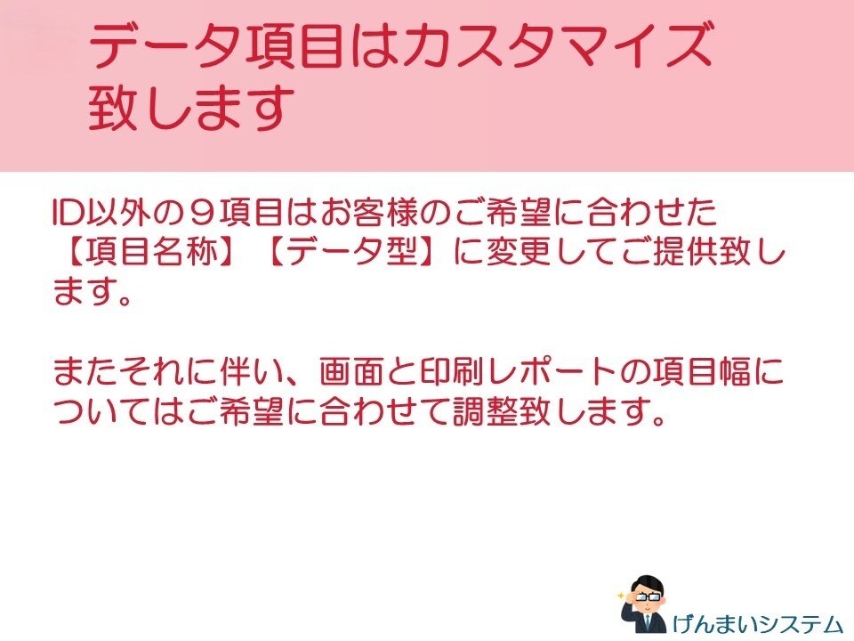 ACCESSで簡単データ管理ツールをご提供致します エクセル取込みで実績・商品・在庫など検索及び出力・印刷可能！ イメージ5