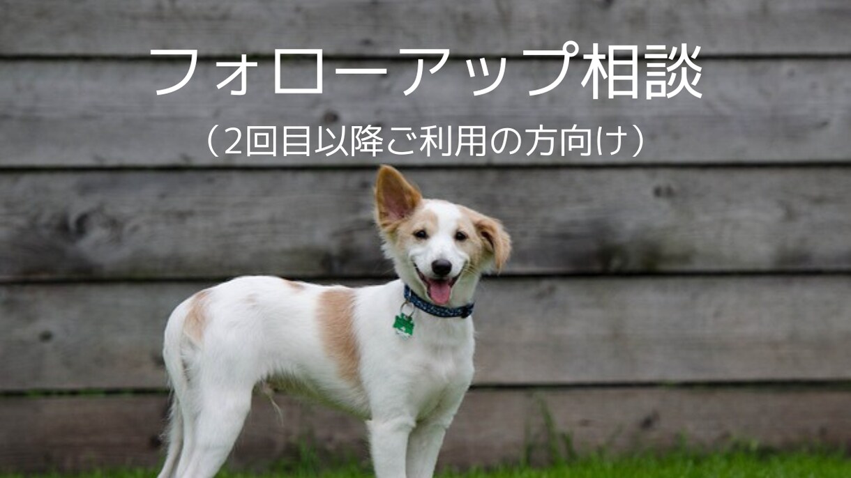 2回目以降ご利用の方☆フォロ－アップいたします 前回の続き・進捗確認・追加アドバイス、ご質問にご利用ください イメージ1
