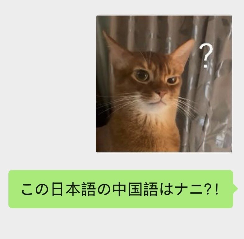 中国語（簡体字・繁体字）と日本語の翻訳します 自然な中国語・日本語に翻訳！気軽く相談してください イメージ1