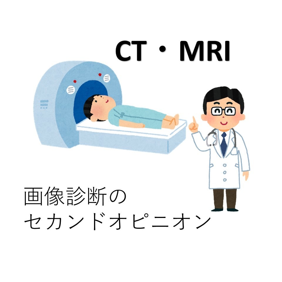 CT・MRIなど医療画像を解説します 経験豊富な医師が解説します！！ イメージ1
