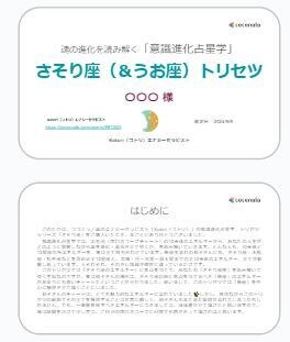 うお座トリセツ【アナタ専用】PDFレポート送ります 恋して夢見る☆不思議の国の甘えん坊将軍… もとい姫君に捧ぐ イメージ3