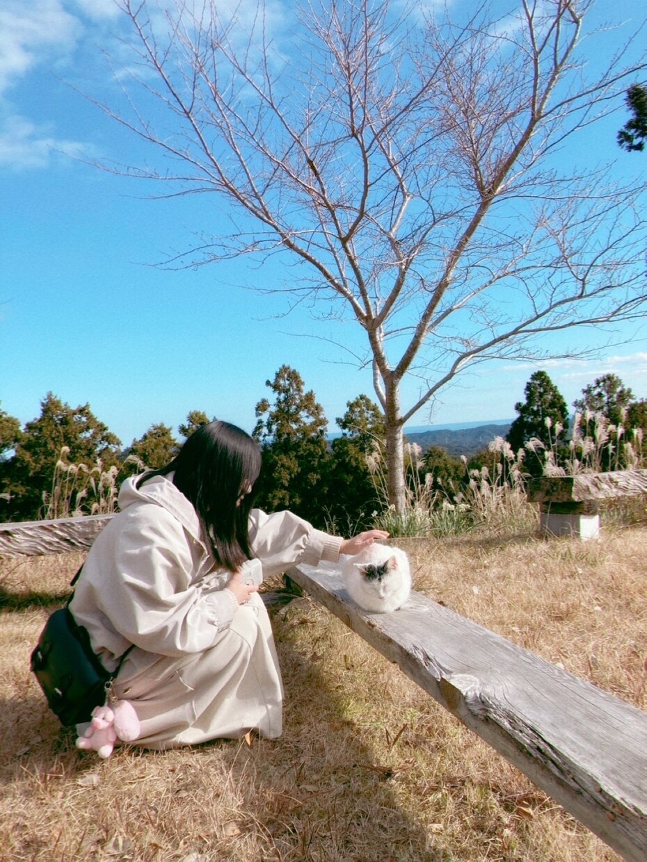 OT経験あり｜友達みたいにゆるっとお話し聞きます ただ話したいだけで大丈夫です。疲れた心を、少し休ませる場所。 イメージ1