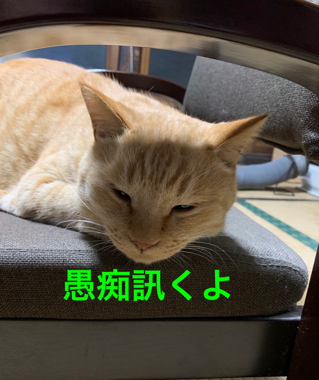 あなたの愚痴を訊いた上で、あなたを褒めます あなたの自己肯定感を上げたい！ イメージ1