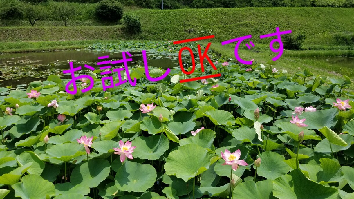 あなたの悩み、苦しみ、相談に丁寧に耳を傾けます ✨僕と話してみませんか❓心がふんわ〜り軽くなりますよ☺✌ イメージ2