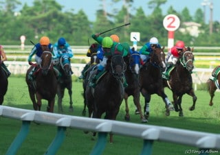 全力投球！アイビスの日のレース全レース予想します 年に一度の新潟祭典レースを盛り上げましょう！ イメージ2