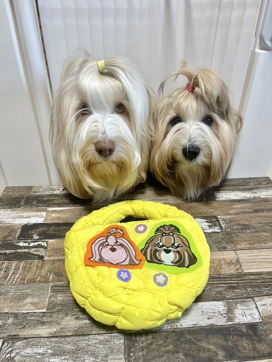 うちの子の「オリジナルワッペン」作成します 愛犬のオリジナルワッペンを作成！ イメージ8