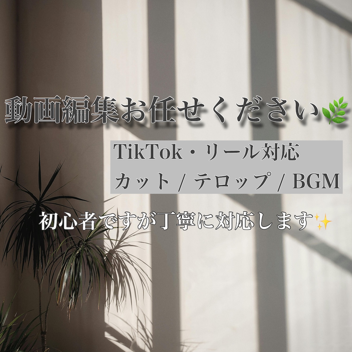 TikTok動画編集｜初心者ですが丁寧に対応します やさしく見やすい動画を丁寧に仕上げます イメージ1