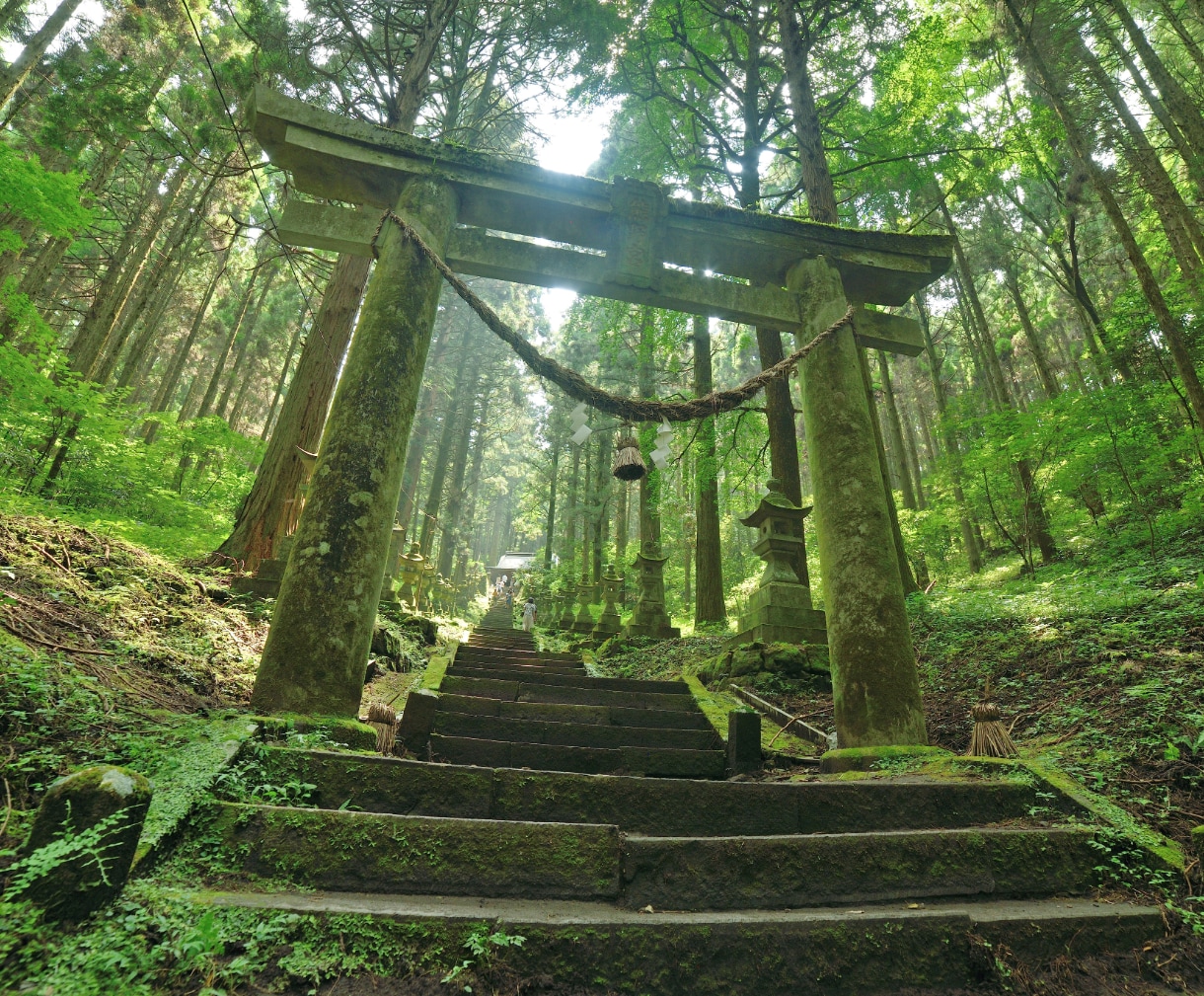 守護神鑑定☽あなたを護る守護神様の正体を霊視します ❖人生の悩みが晴れる❖理想の未来への道筋と守護神様のお導き❖ イメージ8
