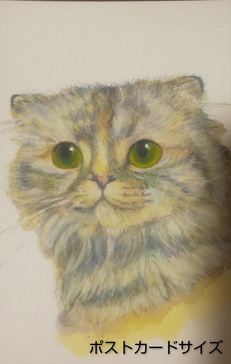 大切なペットのオリジナル水彩画を郵送します アクリル絵の具を使いリアルなタッチでお描きいたします。 イメージ4