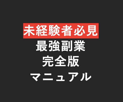 未経験者からでも始められる副業マニュアル教えます 副業未経験でも安心。30P以上のPDFで丁寧に作業解説します イメージ1