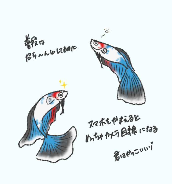 ゆるかわᗦ↞◃生き物イラスト描きます SNSアイコンや観賞用に！(˙˘˙ ﾐэ)Э イメージ5