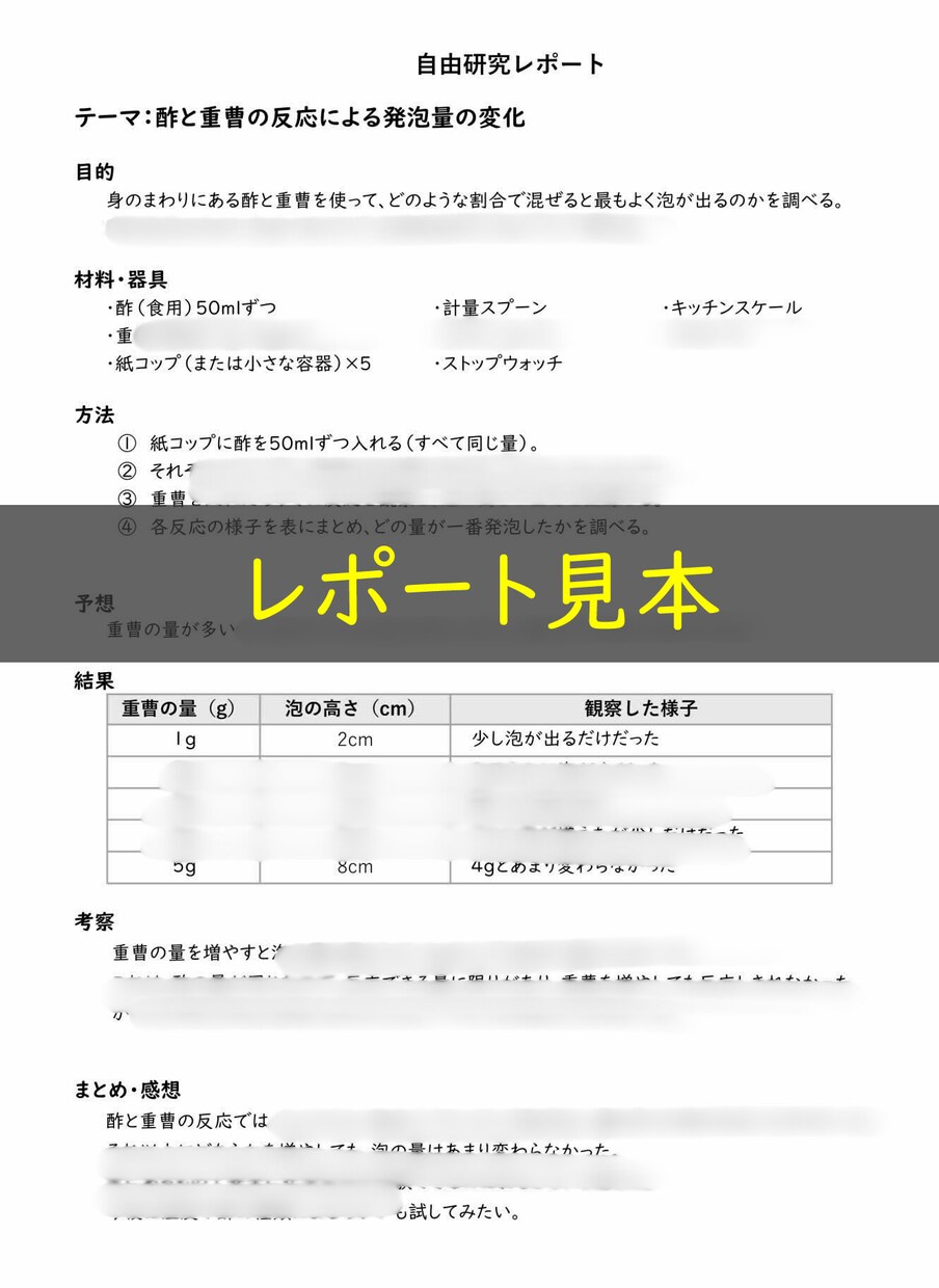 自由研究の進め方・レポートの書き方サポートます 実験の進め方と書く手順をやさしく解説 イメージ2