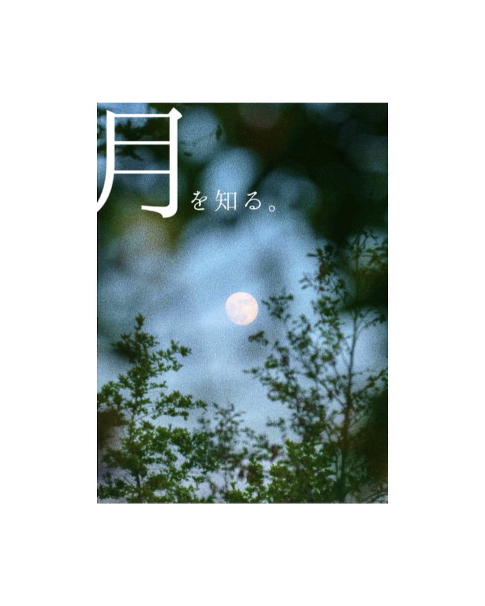 月星座編・出生図から読み解きます 月の揺らぎを知ることは自分を大切にすることの一歩 イメージ1