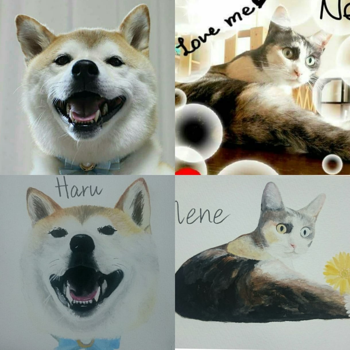 多種多様のペットの似顔絵描きます 可愛い動物たちの絵をあなたにとどけますどんな動物でも依頼可 イメージ2