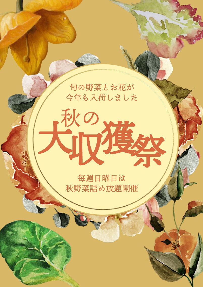 今すぐ欲しい！チラシ・フライヤー今すぐ作ります 今すぐ欲しい！急ぎで必要！そんな依頼お待ちしております イメージ2