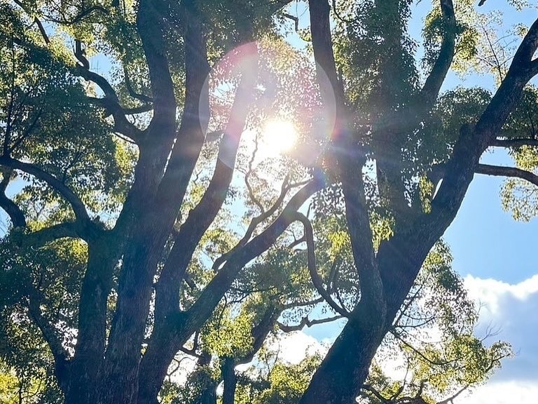 あなたの代わりに参拝代行します あなたの願いごと、目的に合った神様がいる神社で参拝します イメージ6