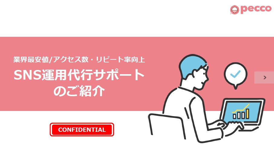 Instagramのプロが運用代行をいたします 超大手企業運営、SNSコンサル、SNS講演会実施経験者が対応 イメージ1