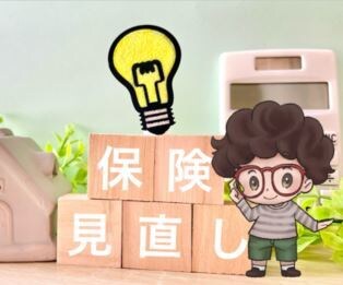 電話での保険のセカンドオピニオンサービス！をします あなたにピッタリをアドバイスします イメージ1