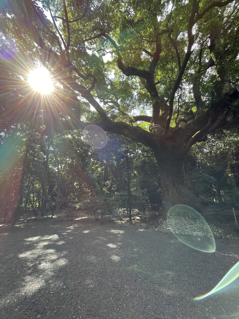 誰にも話をする事ができない時、私が聞きます 心のモヤモヤを吐き出し新たな一歩を踏み出そう イメージ2