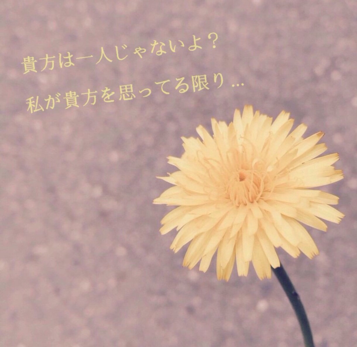 女性限定//恋愛·失恋·不倫どんなお話でも聞きます 恋愛·悩み·秘密·不倫·その他何でも受け止めちゃいます！！ イメージ2
