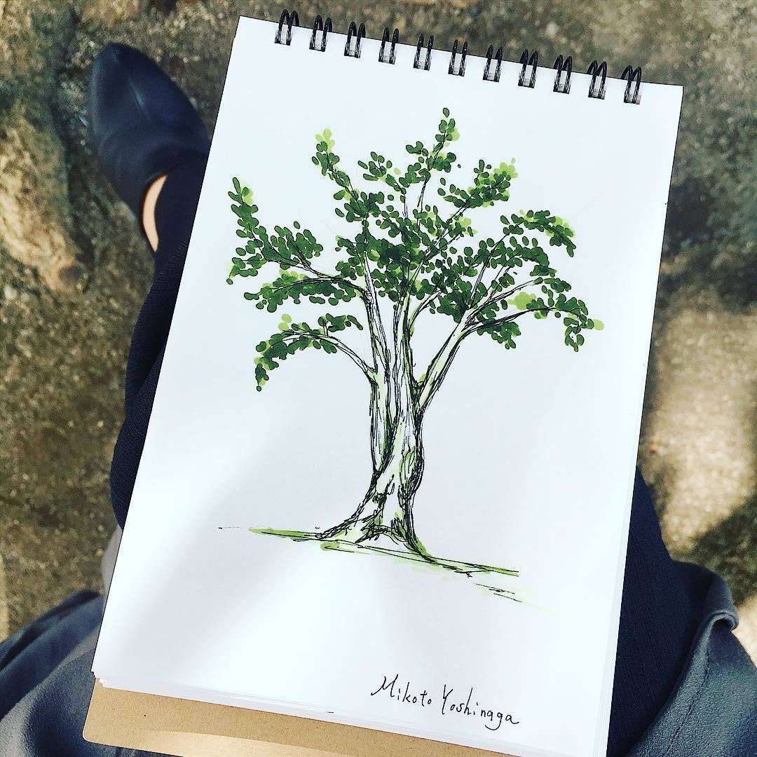味のある植物のイラスト描きます 植物のある暮らしをまずは絵から始めませんか？ イメージ2