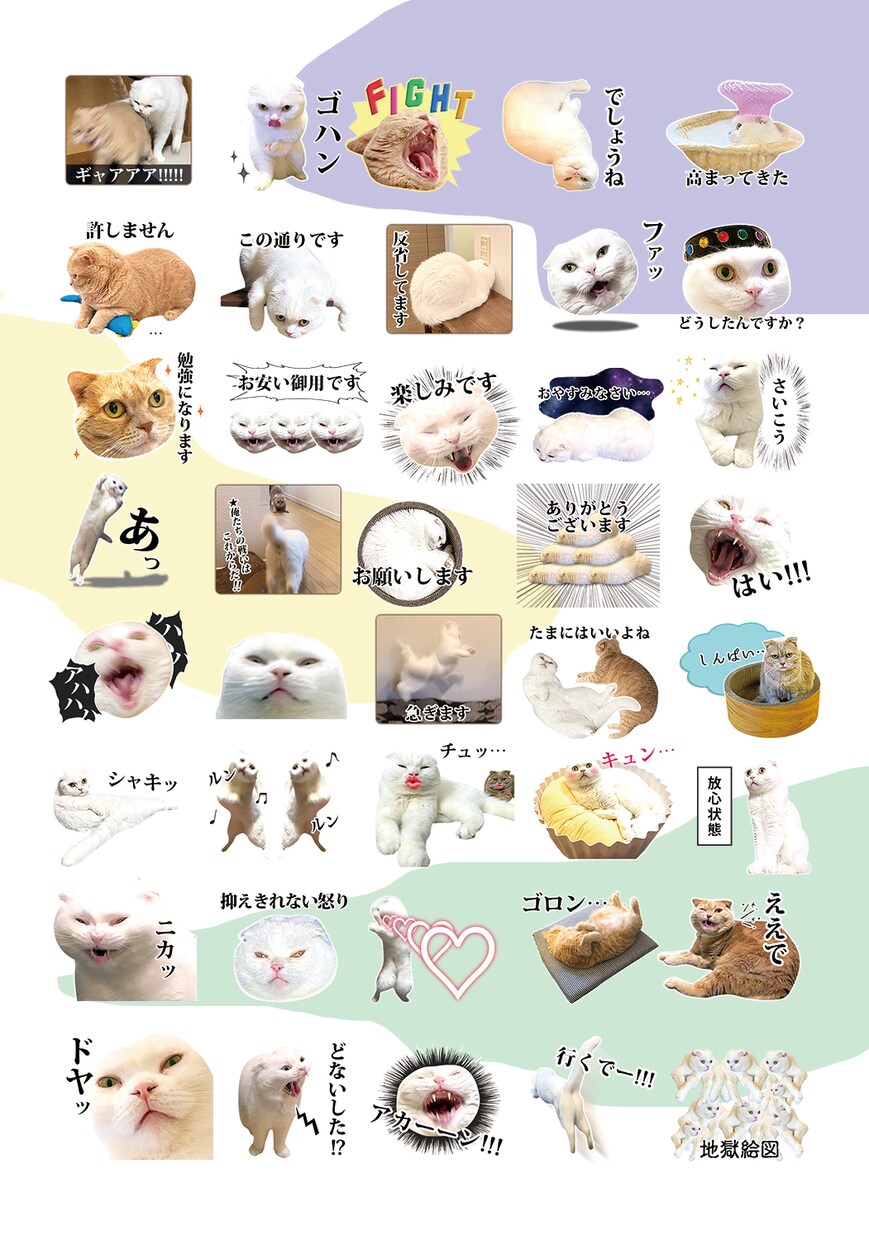 ペット、お子様のお写真でLINEスタンプ作ります 可愛くシュールに！アレンジしてお作りします。 イメージ3