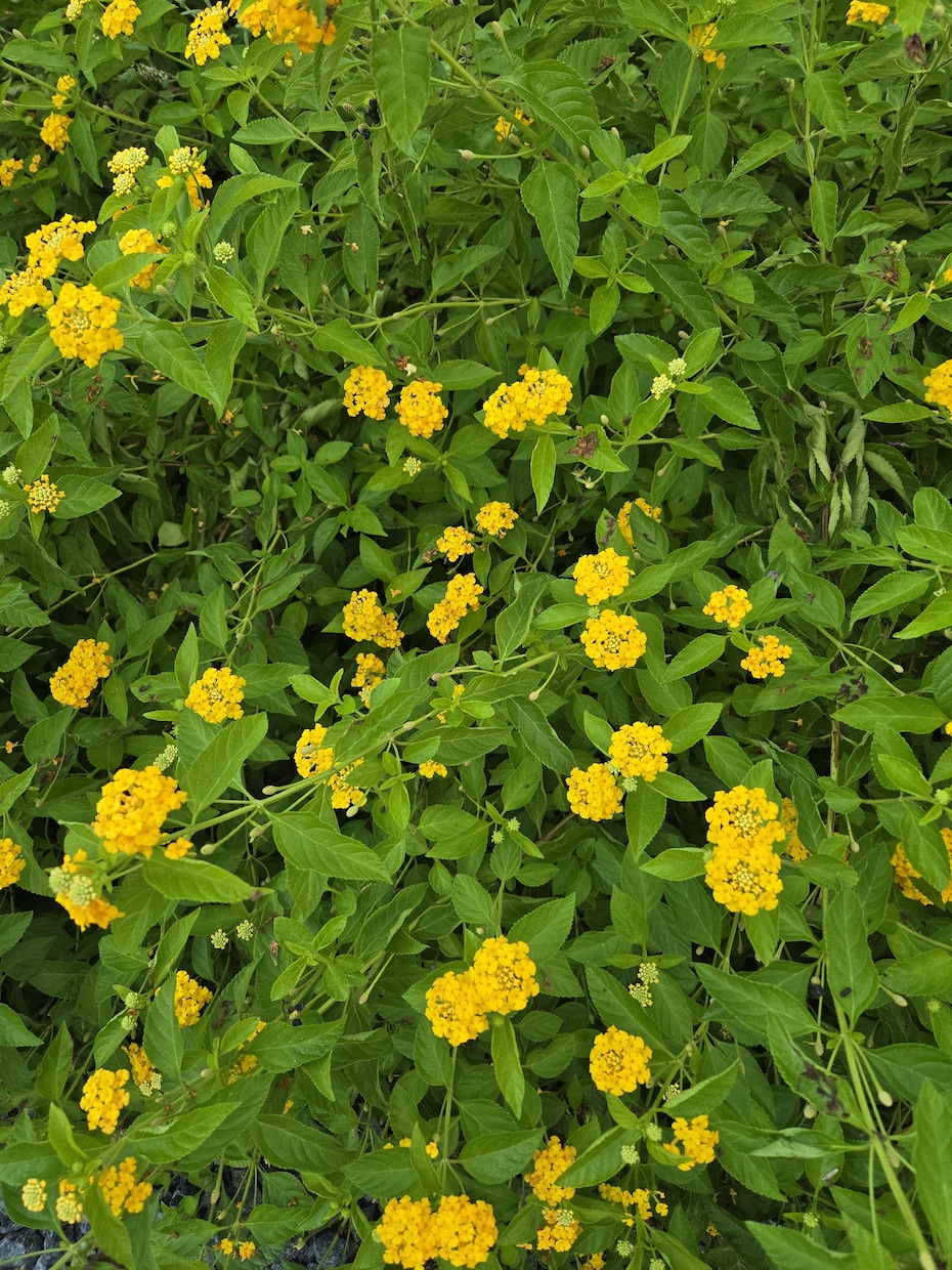 どうして？突然の別れ…相手の気持ち全部視ます 頭が真っ白…連絡が来ない等理由は？何があったか起こるか視ます イメージ7