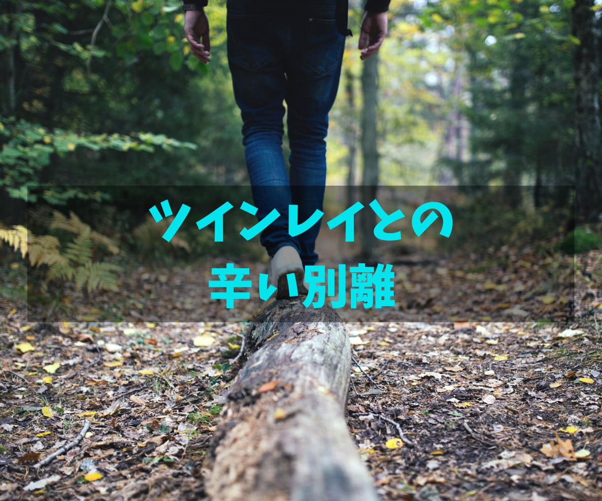 ツインレイの分離で落ち込んでいる人、話を聴きます 分離期間のチェイサーの苦しみ悲しみに、心から寄り添います♡ イメージ1