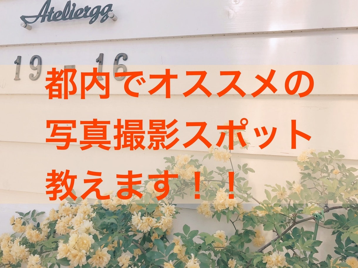 あなたにピッタリの都内の撮影スポット教えます もっと写真の練習がしたいあなたに イメージ1