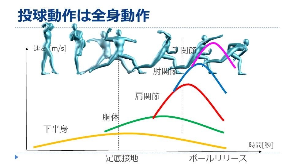 肩・肘の負担を減らすために投球動作をチェックします 少年野球〜プロ野球選手のリハビリを担当する理学療法士が実施 イメージ1