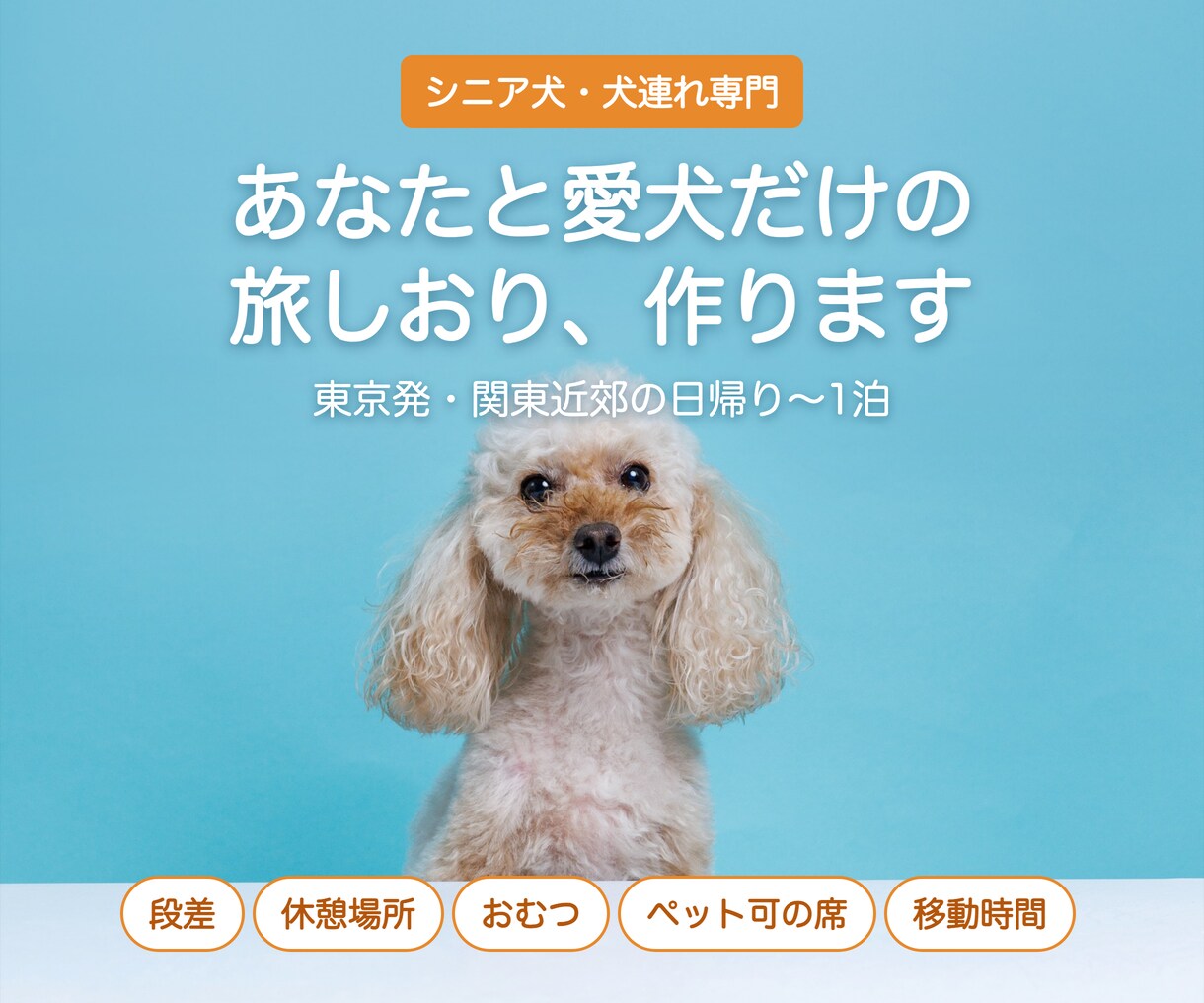 お試し｜シニア犬と行く日帰り旅プラン作ります はじめての方限定・行き先1か所の日帰りプラン イメージ3