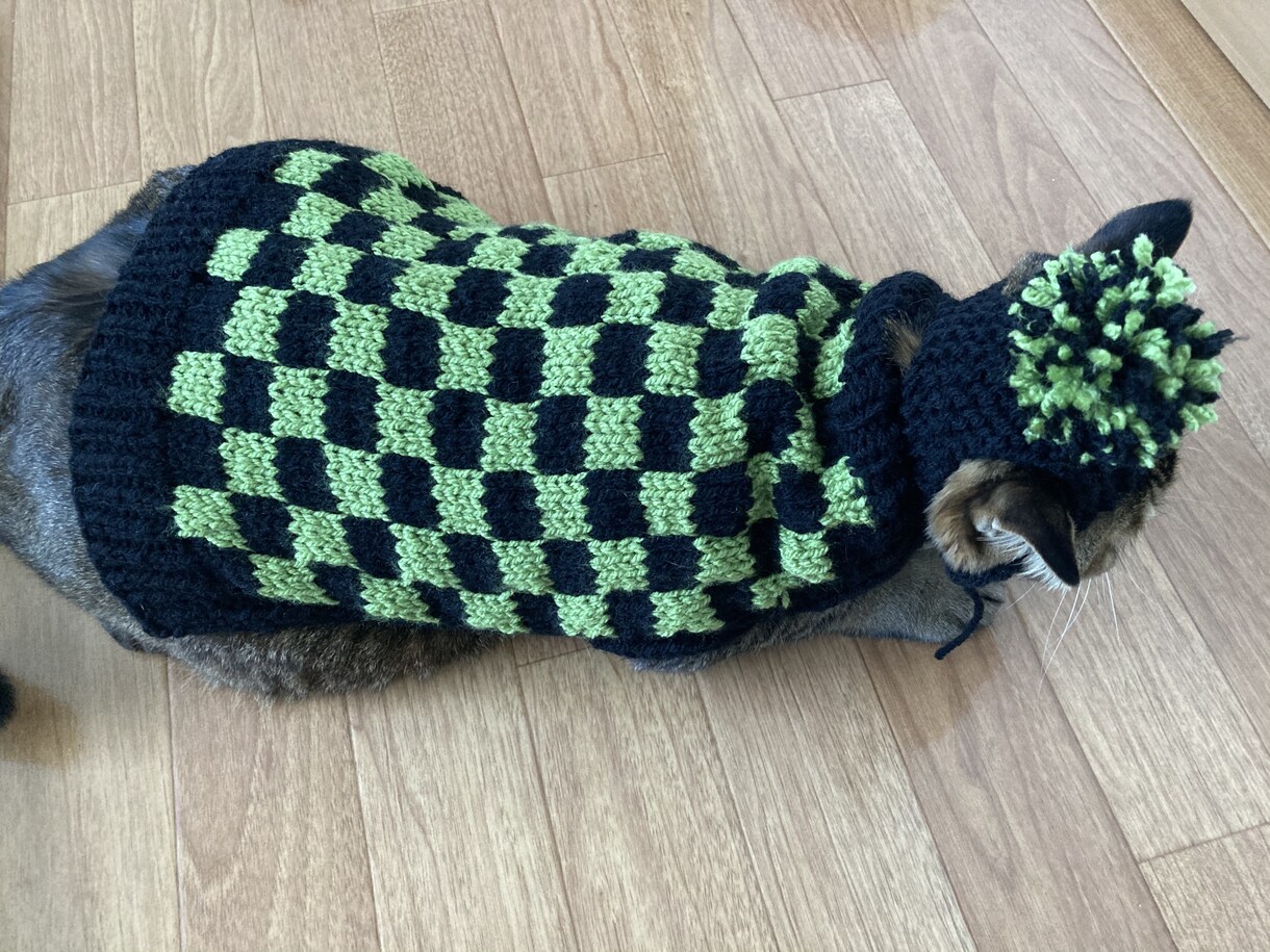 編み物代行いたします ワンちゃん（犬）ネコちゃん（猫）ベビー（赤ちゃん）用ニット イメージ2