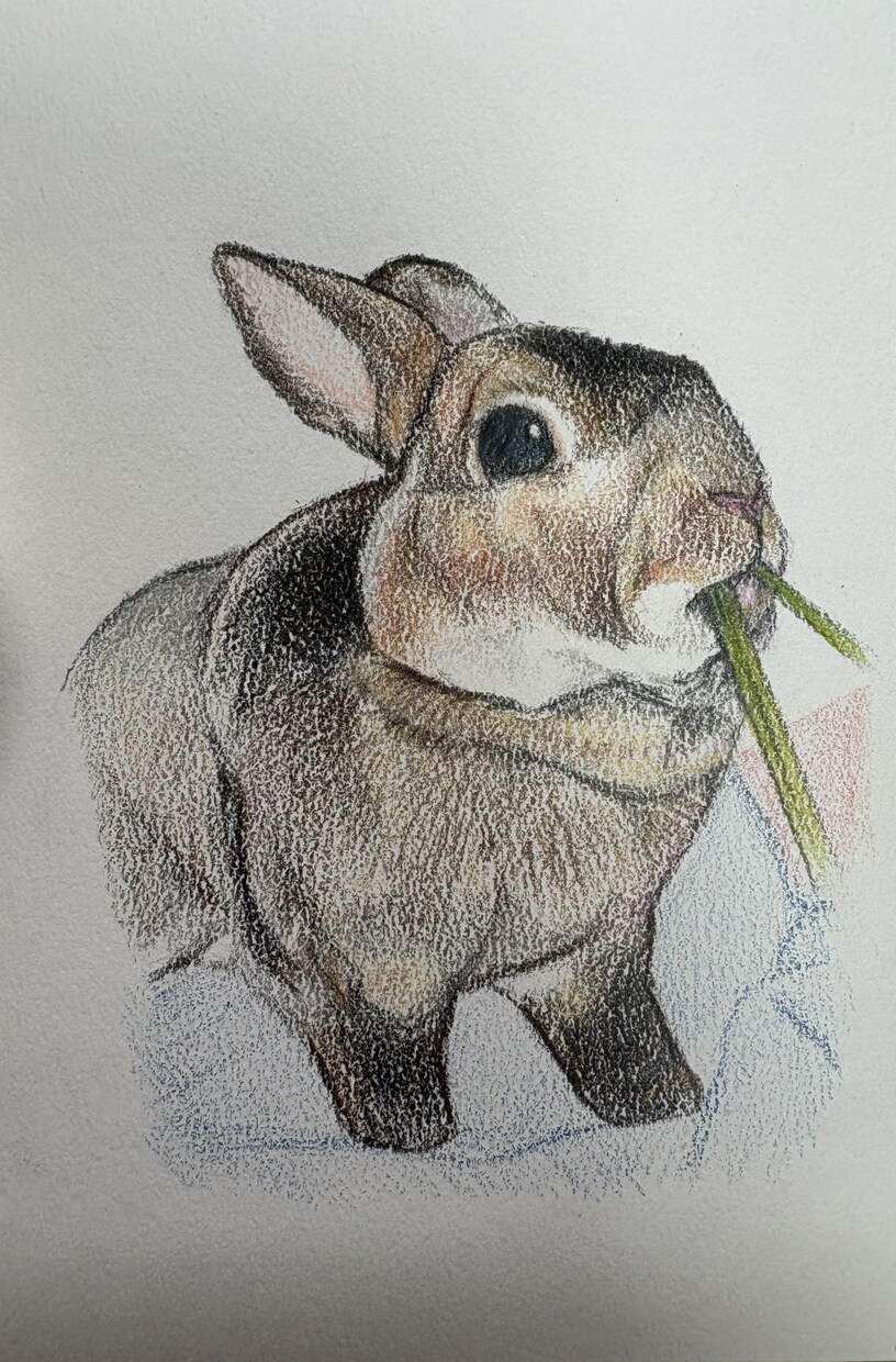 色鉛筆で描いたペットの肖像画を原画でお届けします 犬・猫・鳥・爬虫類・魚類・昆虫など種類は問いません イメージ1