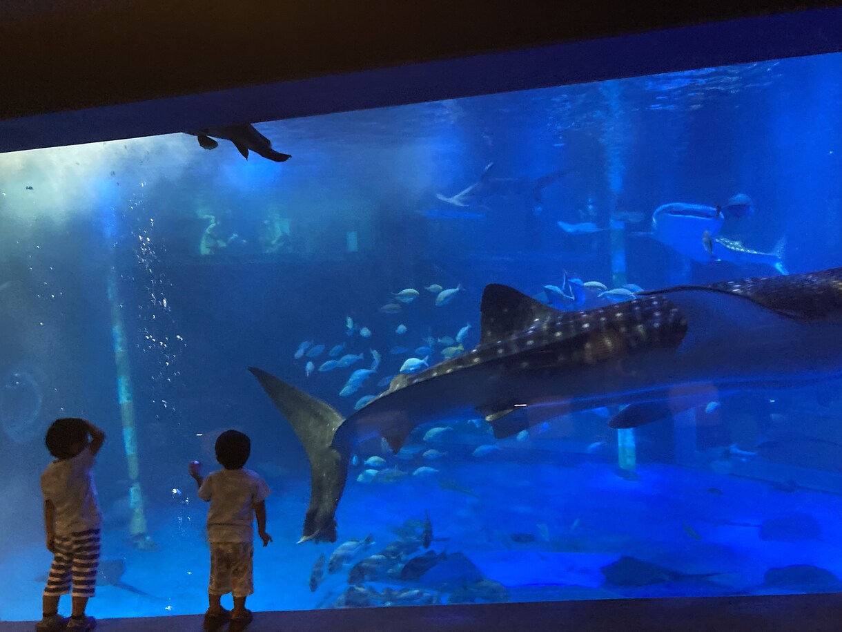 育児に正解はなし。2児のパパがあなたの愚痴聞きます 周りからはイクメンパパとのこと。子育てなど相談にのります。 イメージ1