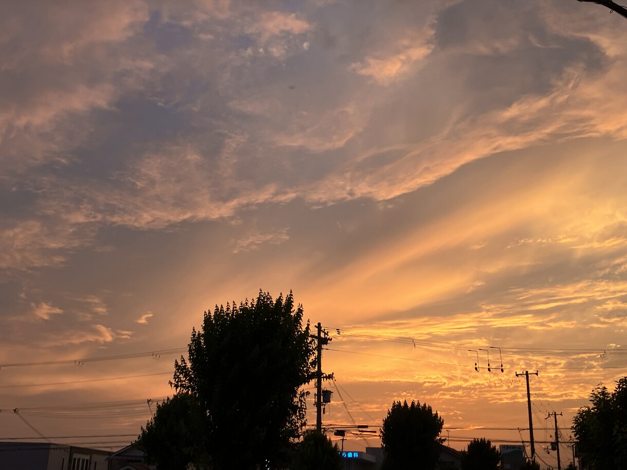 素材写真販売しています 使い道は癒しや書籍で利用、プリントアウト、グッズの用途など。 イメージ1