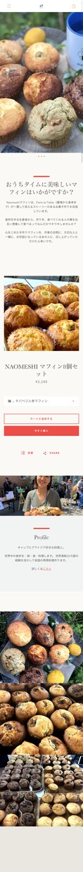 Shopifyのネットショップを制作します オープン記念！1枠限定でshopify制作10万円で承ります イメージ5