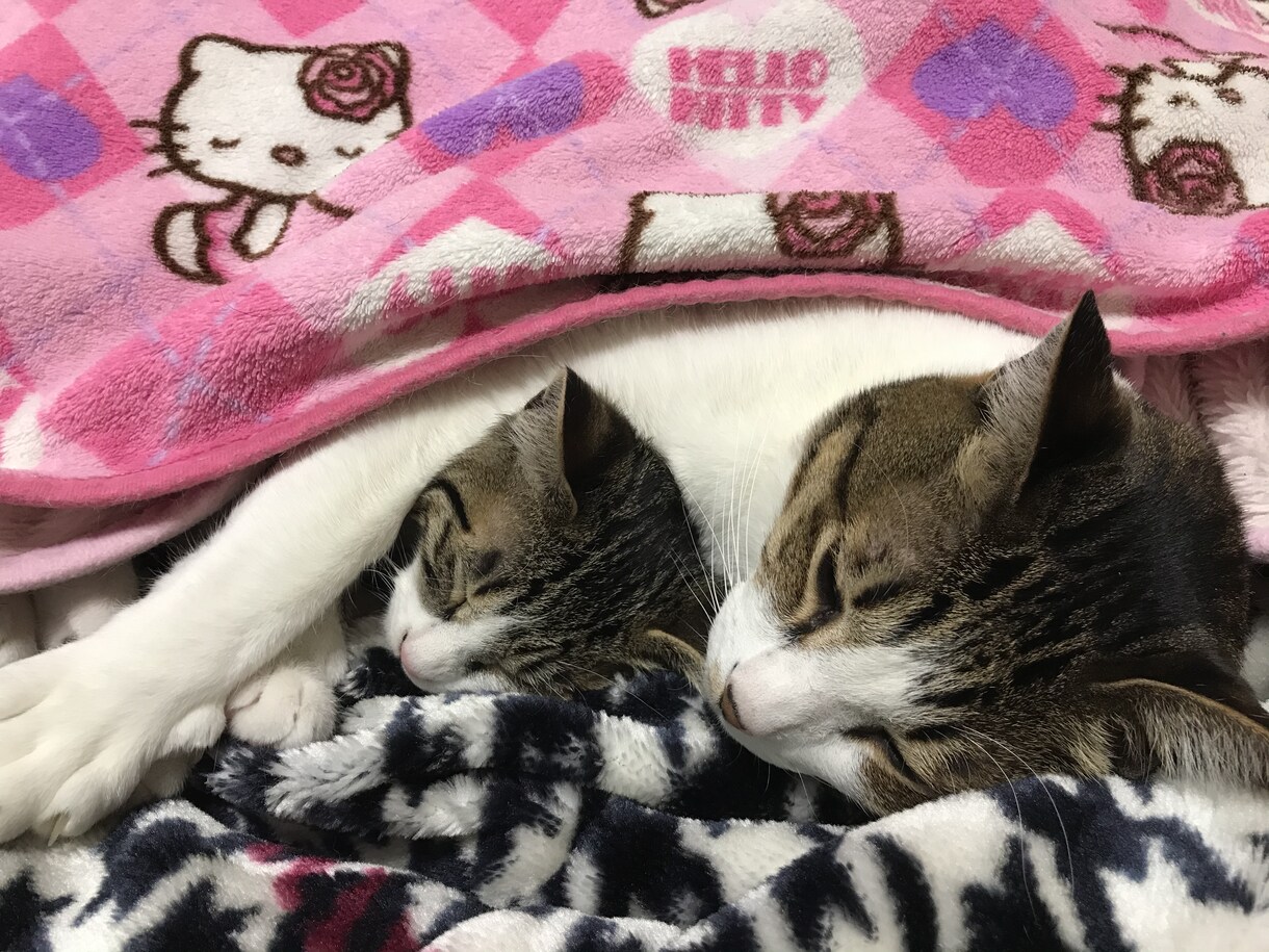 寂しい時間やり取りします 孤独を感じて寂しい時にやり取りさせて頂きます。 イメージ1