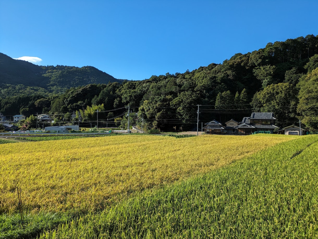 椄客歴20年の経験で心のモヤモヤを全てお聞きします タメ口OK！ゆっくり関西弁でどんな話もお聞きします！ イメージ3