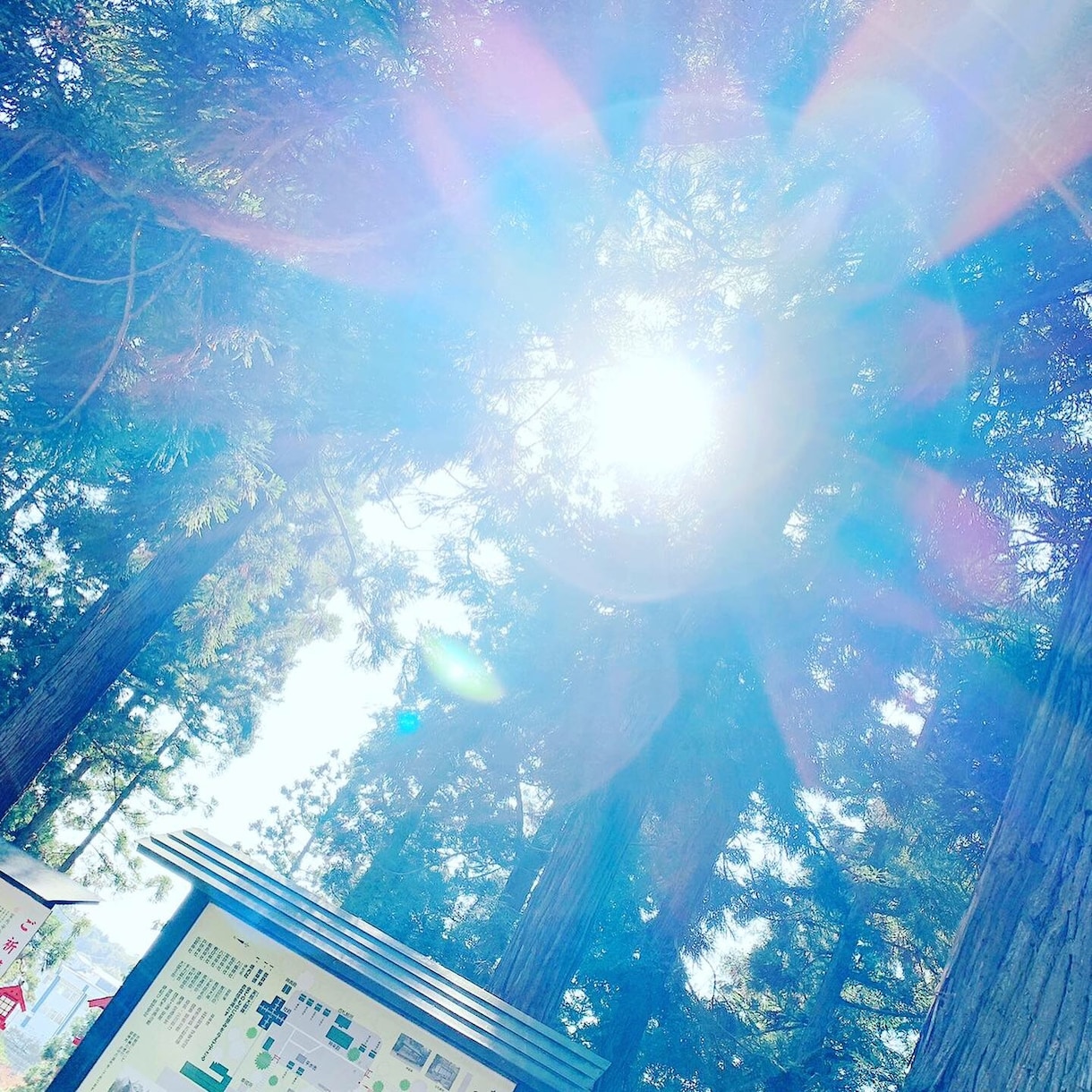 魂を磨き可能性を開花させます 魂を覚醒し、キラキラ輝く人生を導きます自分らしく生きるために イメージ4