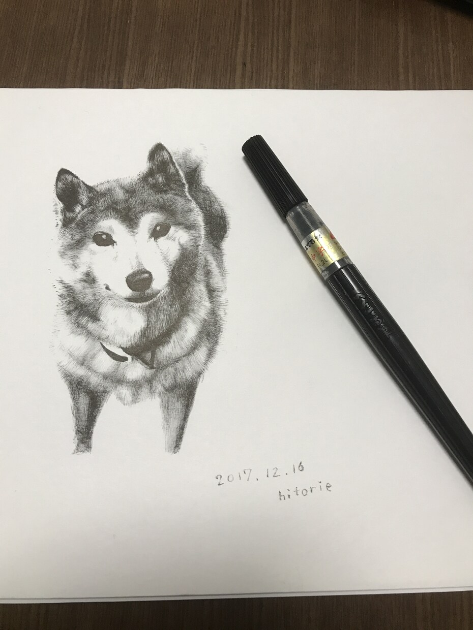 筆ペンで大切なペットの似顔絵を心を込めて制作します 大切なペットなどの肖像画がほしい方へ イメージ3