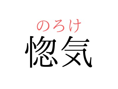 貴方の惚気聞きます 周りに言いたいけど、、という方にオススメ！ イメージ1