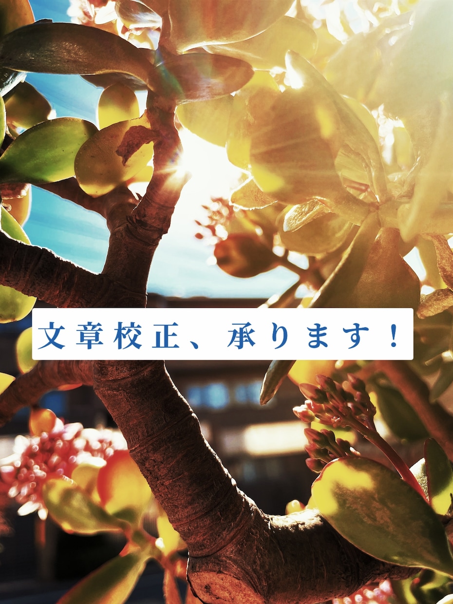 現代文から古典文まで文章校正いたします 細部まできちんと対応！誠実に取り組ませて頂きます！ イメージ1