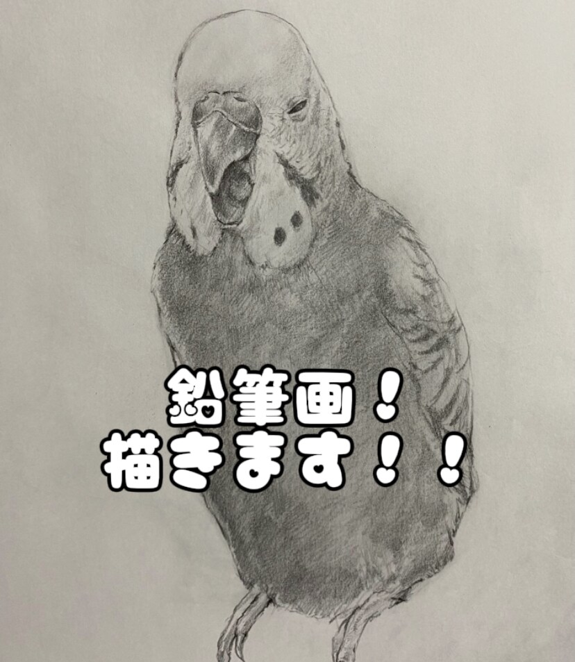 鉛筆画を描きます あなたの日常を絵にして記録してみませんか イメージ1