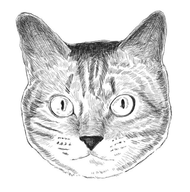 ペットの似顔絵を描きます モノトーンタッチで雰囲気のある作品に仕上げます イメージ1