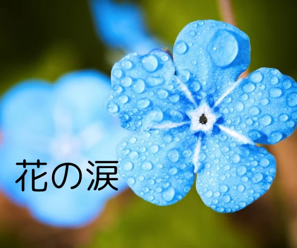 泣きたい時★存分に泣いて✨優しく寄り添います ✨安心の波動の場で✨感情の昇華お手伝いします(*^_^*) イメージ4