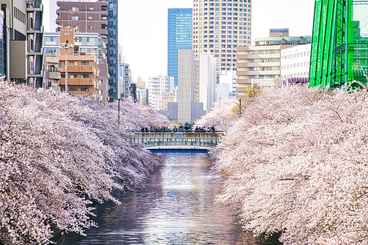 愛媛県ご希望の場所で写真撮影代行します プロのクオリティを格安でご提供します イメージ2