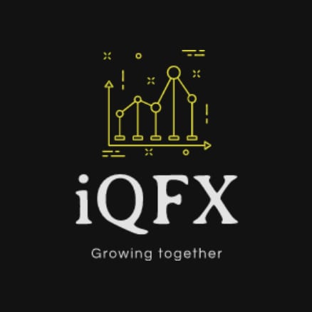 再登場！【IQFX_2】真の裁量手法伝授します IQ130の元学習塾塾長が、懇切丁寧にトレード指導！ イメージ1