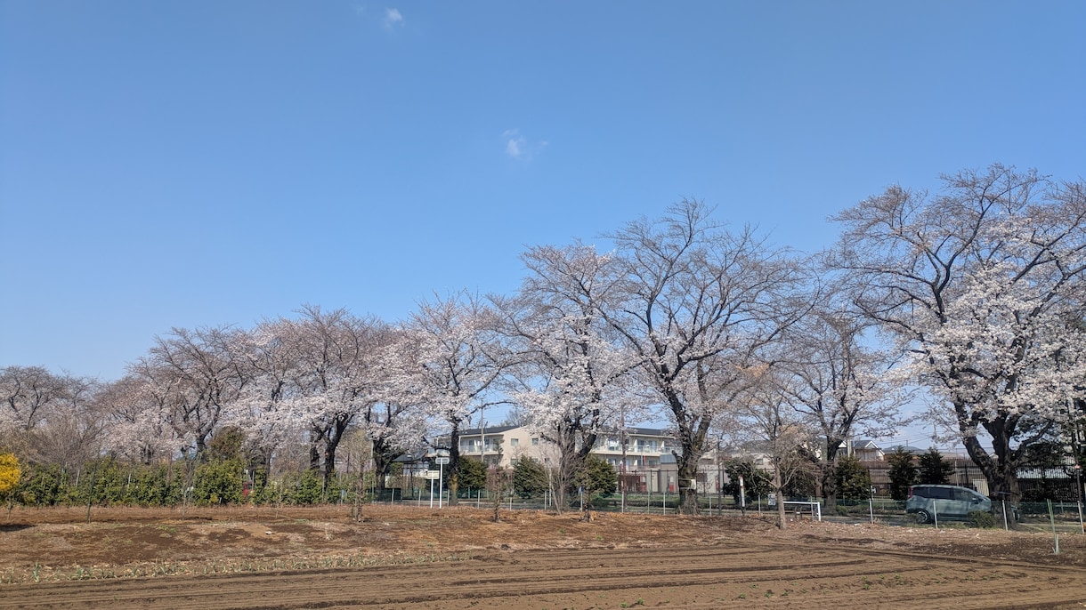 とにかく、お話、伺います 心に余裕がない、モヤモヤしているお話、聞かせてください イメージ2